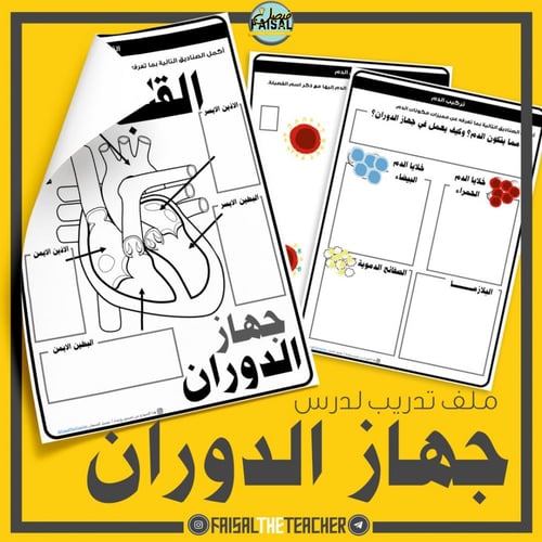 ملف تدريب على جهاز الدوران