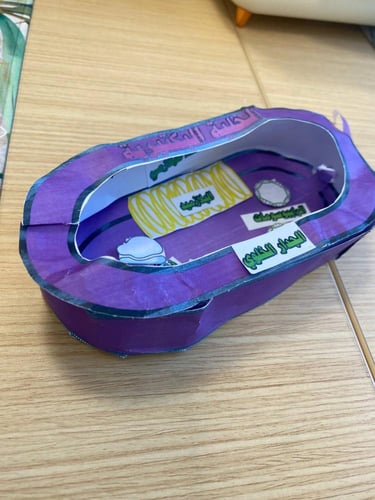 نموذج مشروع الخلية البكتيرية