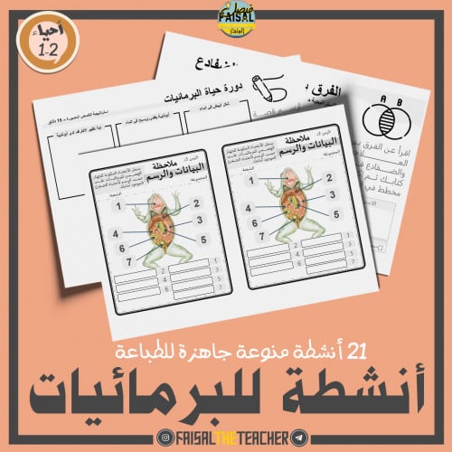 21 نشاط صفي لدرس البرمائيات