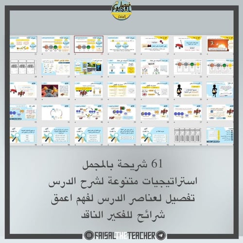 عرض لدرس كيف تحصل المخلوقات الحية على الطاقة