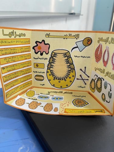 نموذج مشروع الإسفنجيات