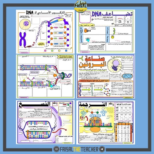 مهام ادائية لوحدة الوراثة الجزيئية
