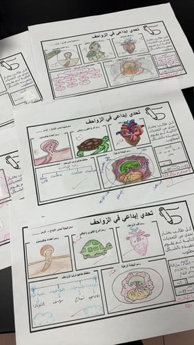 عرض درس الزواحف