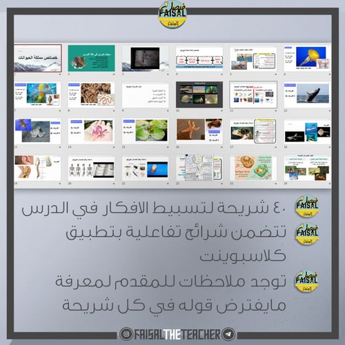 عرض لدرس خصائص الحيوانات - احياء1