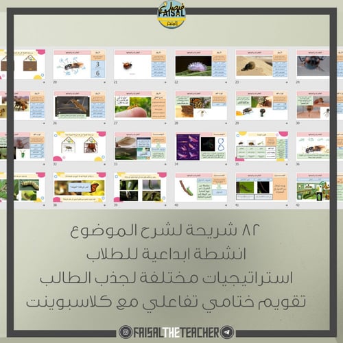 عرض بوربوينت تفاعلي لدرس الحشرات واشباهها - احياء1