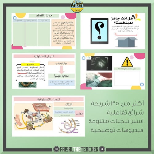 عرض بوربوينت تفاعلي لدرس الديدان الاسطوانية والدور...