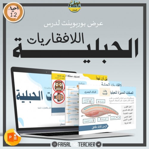 عرض درس اللافقاريات الحبلية