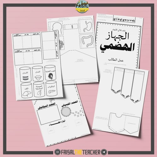 ملف الجهاز الهضمي - ثلاثي الابعاد