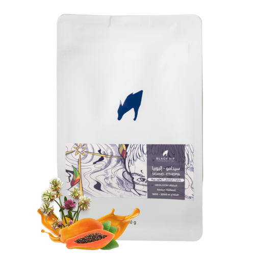 سيدامو إثيوبيا | Ethiopia Sidamo