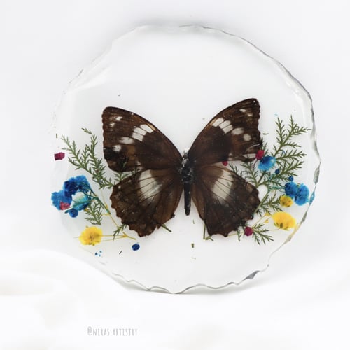 مجموعه الفراشات