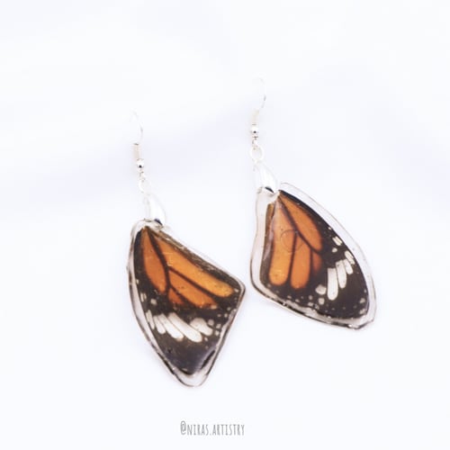 butterfly earrings