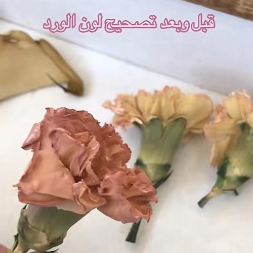 خدمه التصحيح اللوني للورد الطبيعي