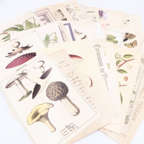 بطاقه بريد- رسمات عتيقه