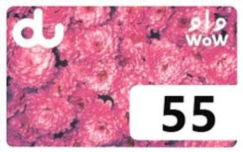 دو إماراتي بطاقة الدفع المسبق 55 درهم إماراتي