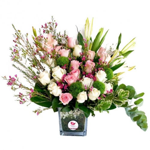 فازة ورد مجلس