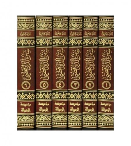 سنن الدار قطني