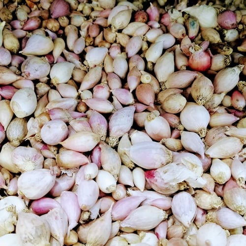 ثوم ذكر يمني درجة اولى - 1كجم