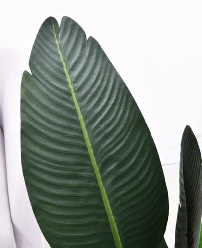 شجرة عصفور الجنة مع حوض بيج دائري ناعم ارتفاع 2.20...