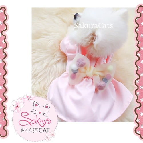 فستان الفيونكة الأنيقة