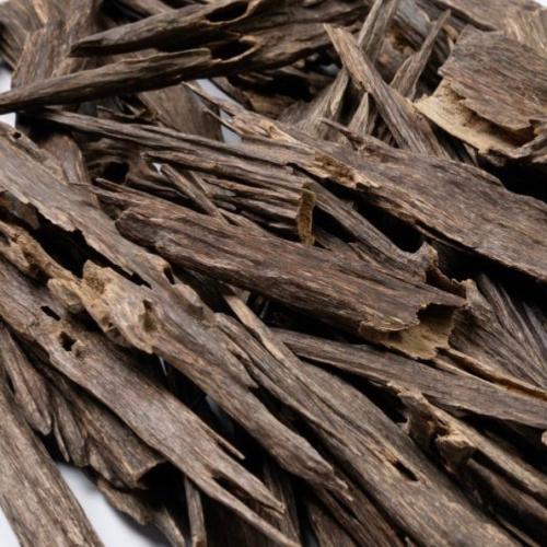 هندي المجالس سوبر مرتفع