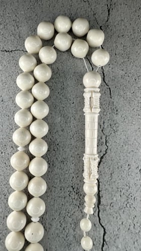 عظم الجمل بشاهد المأذنة 11