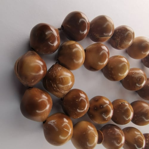 سبحة الكوك 33