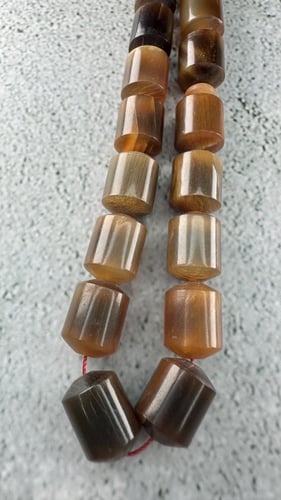 قرن الجاموس