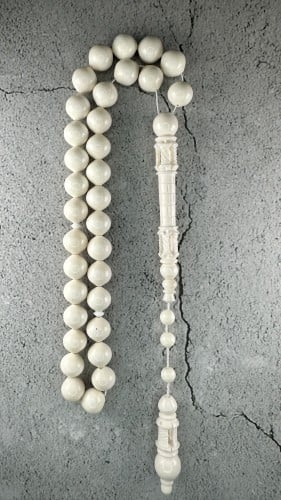 عظم الجمل بشاهد المأذنة 11