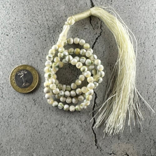 سبحة الصدف الطبيعي