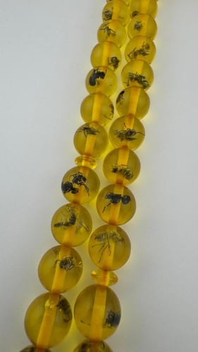 بكلايت حشري شكة اسود وذهبي