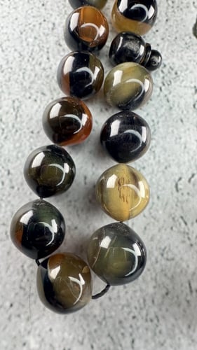 قرن الماعز الجبلي 12