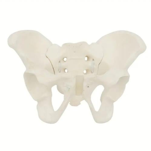 مجسم حوض صغير