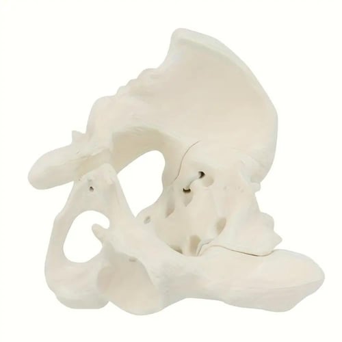 مجسم حوض صغير