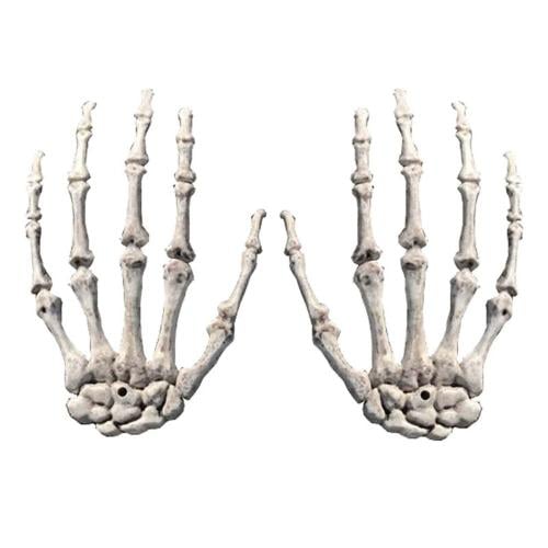 مجسم عظام اليد