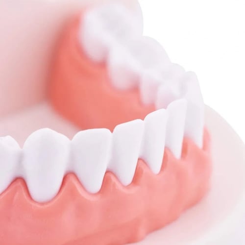 مودل الأسنان