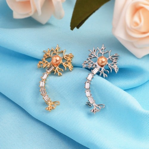 بروش طب الأعصاب