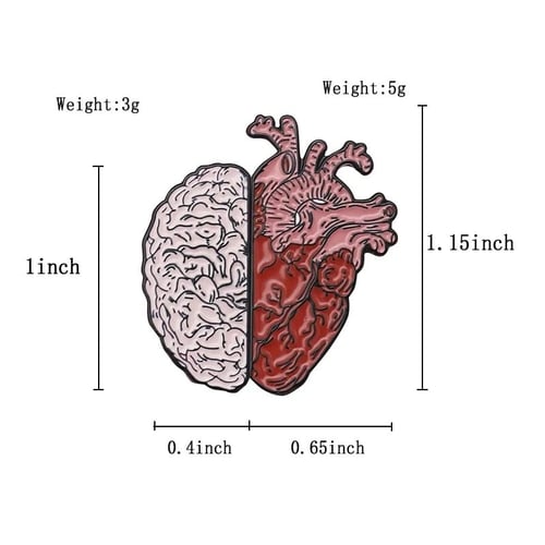 بروش العقل والقلب