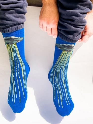 شراب طبق طائر