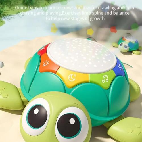 السلحفاة التفاعلية