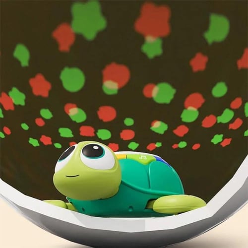 السلحفاة التفاعلية