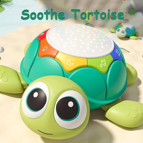 السلحفاة التفاعلية