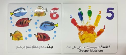 الرؤية، اللمس، الإحساس