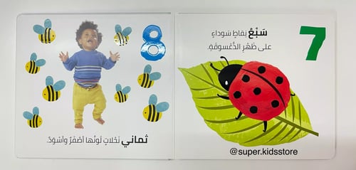 الرؤية، اللمس، الإحساس