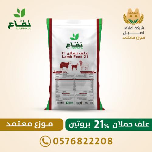 علف حملان 21% بروتين