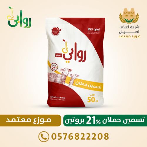 تسمين حملان 21% بروتين