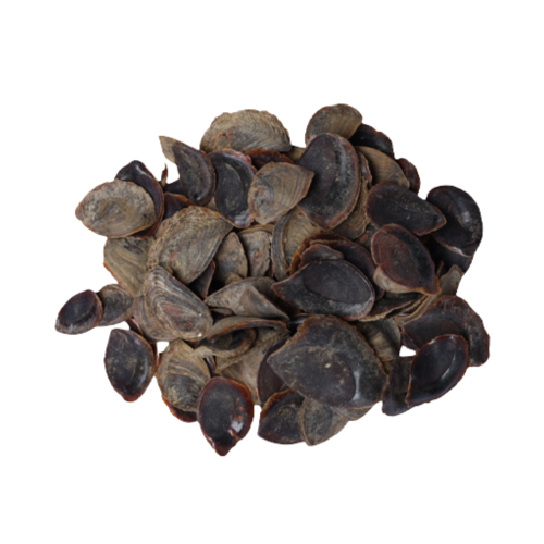 ظفر