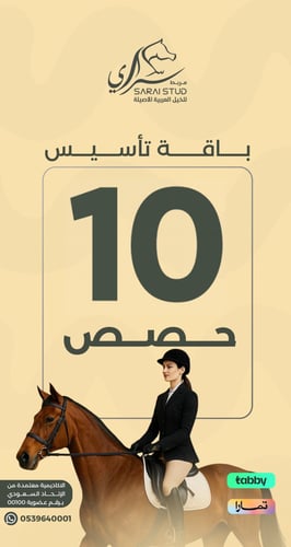 10 حصص لتعليم أساسيات ركوب الخيل