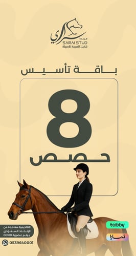 8 حصص لتعليم اساسيات ركوب الخيل