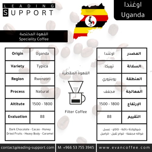 سوق الجملة - تعبئة 250 جرام - 5 كيلوجرام - من إختي...
