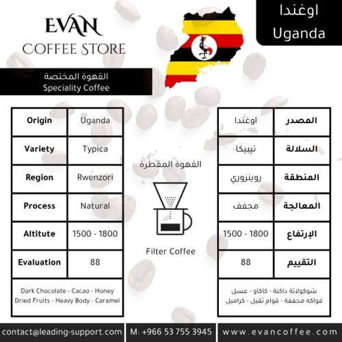 ايفان دو - محصولين قهوة - 200 جرام - من إختيارك